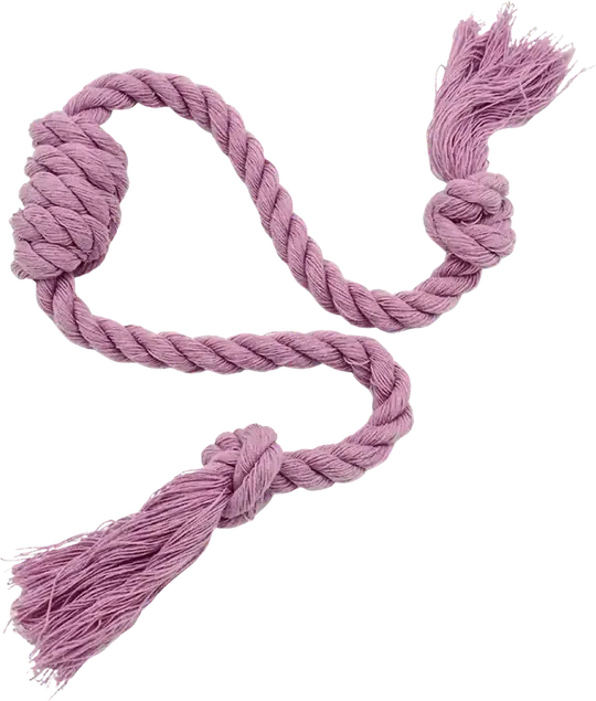 Trenza Loca